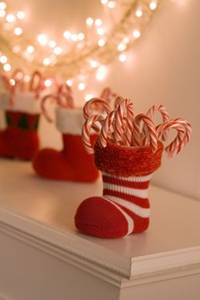 http://www.snhc.com/images/holidaystocking.jpg